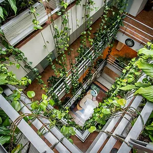 *** Hotel Picasso Colombia